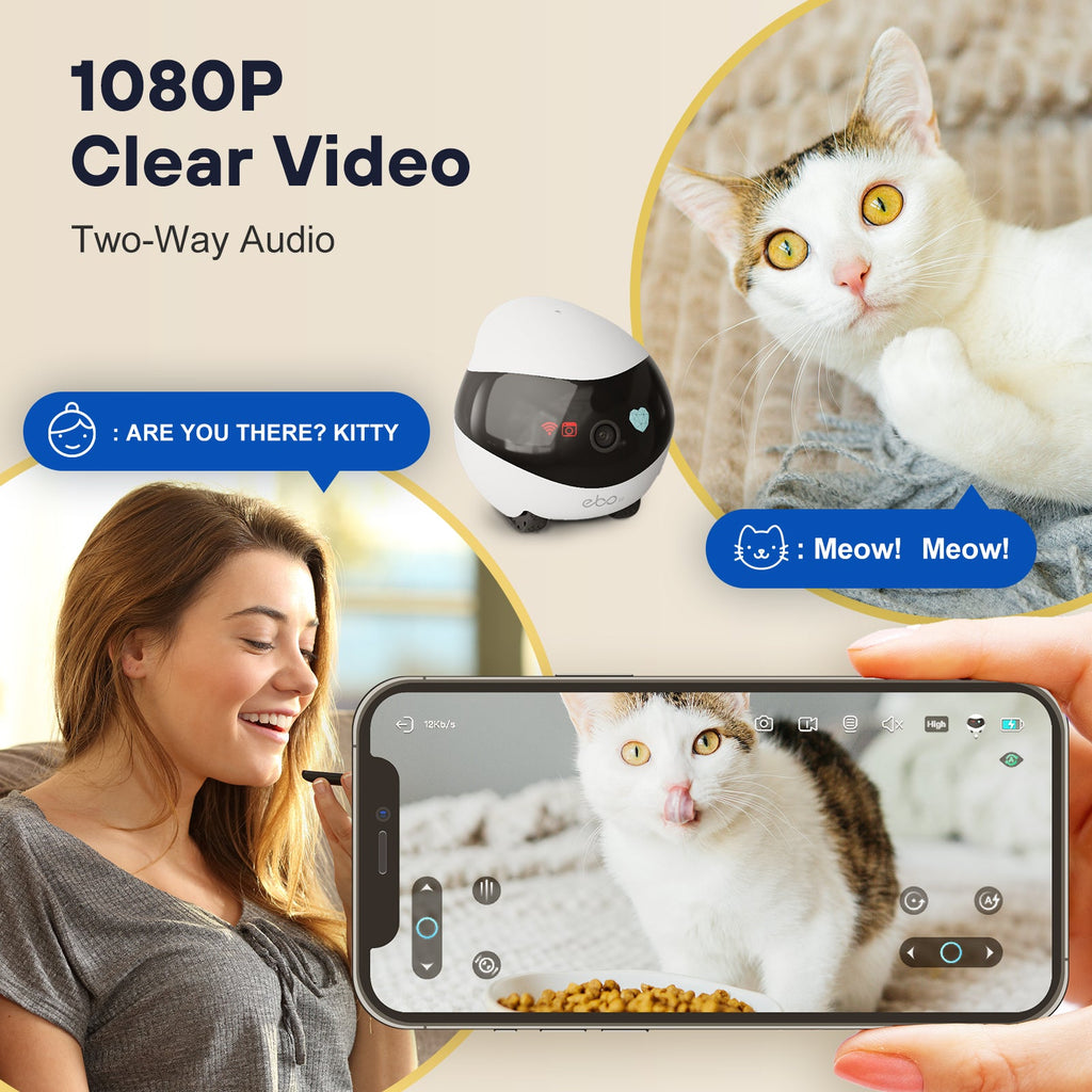 Movable or Fixed Security Camera?