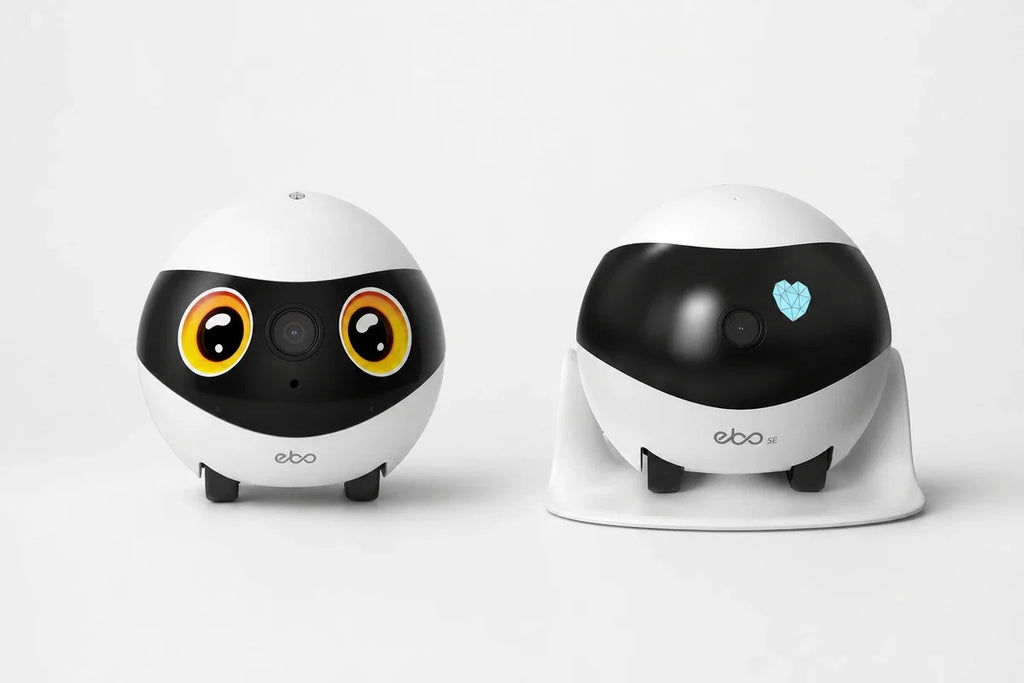 EBO SE 2 vs. EBO SE: The Upgrade of Our Bestseller Compared