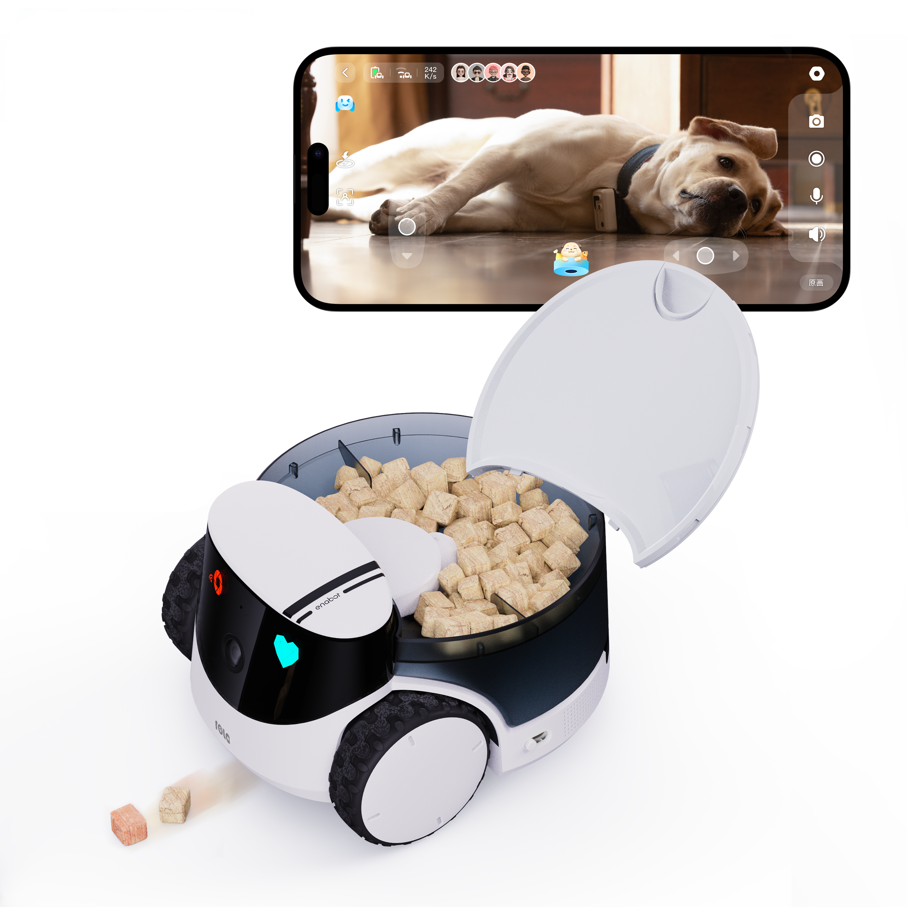 ROLA PetPal Robot Pet Companion