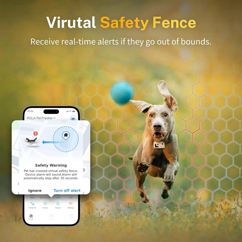 ROLA PetTracker – GPS-Tracker mit Kamera