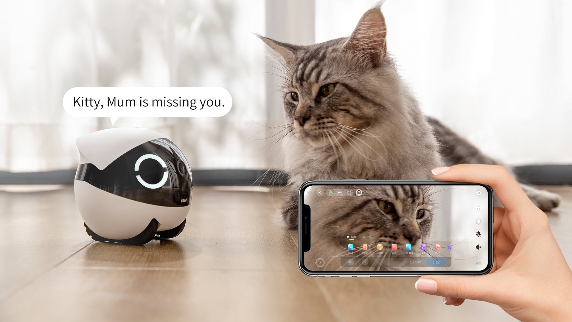 A pet owner remotely calls their cat using the ROLA Mini via App control, with the robot performing built-in interactive actions and engaging sound effects.