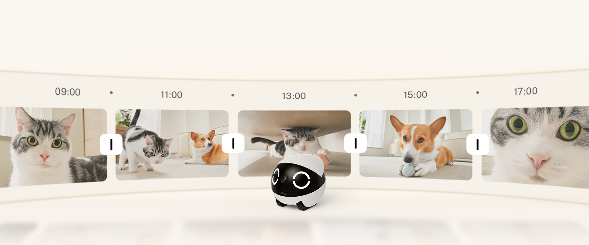 ROLA Smart Pet Water Fountain 3-Layer Filtration