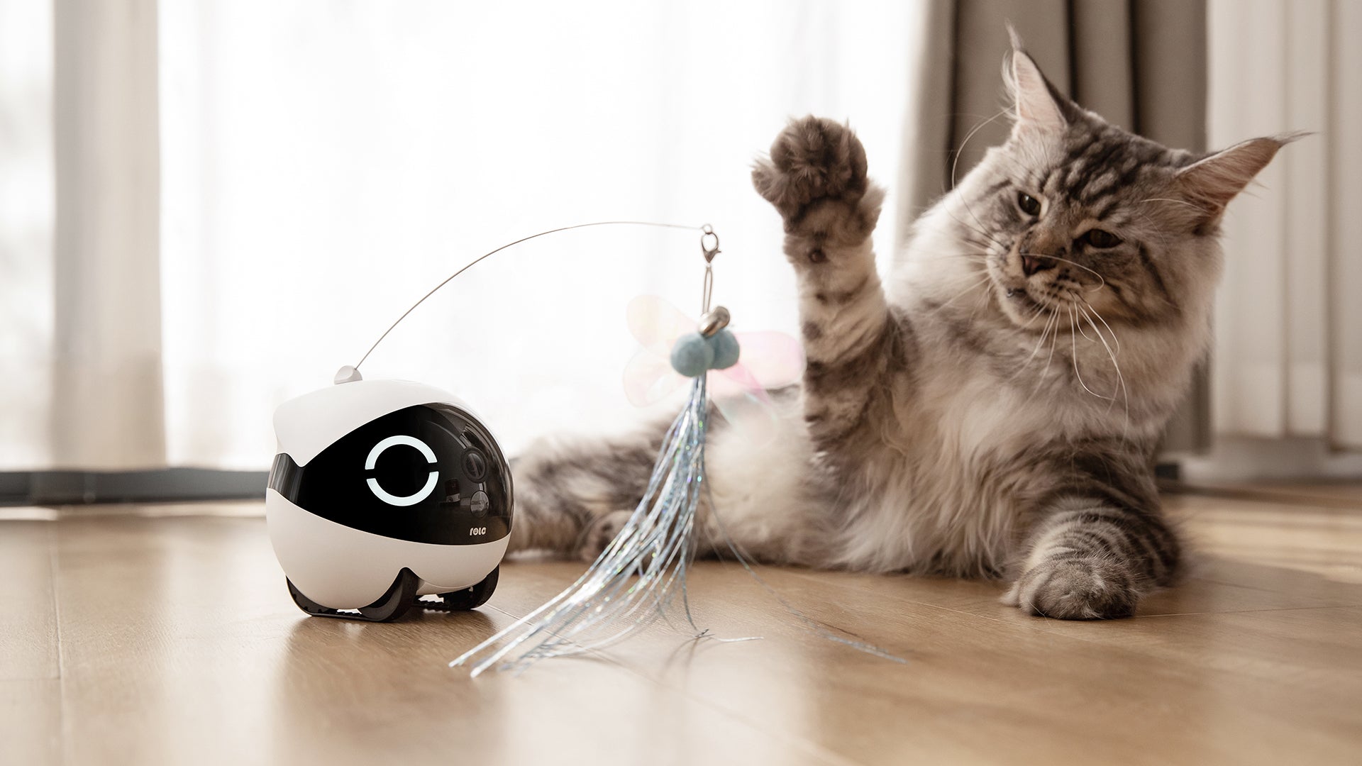 Cat playing with the Cat Teaser attachment on top of ROLA Mini.