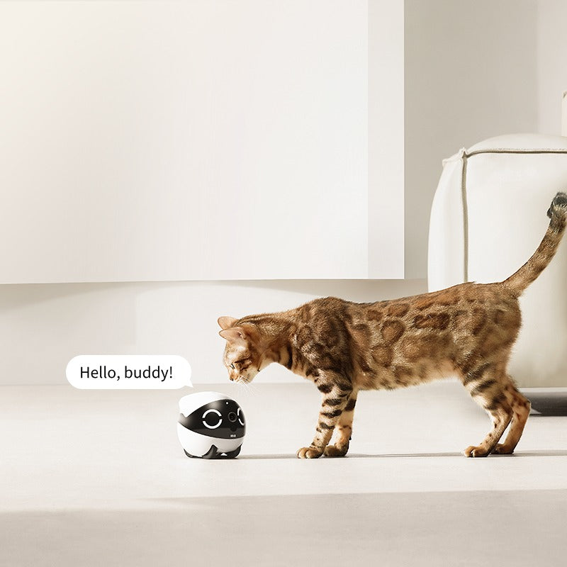 ROLA Smart Pet Water Fountain Smart Hydration Monitoring