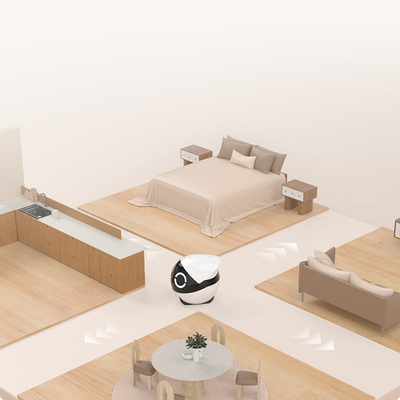 ROLA Mini robot navigating freely between multiple rooms in a home