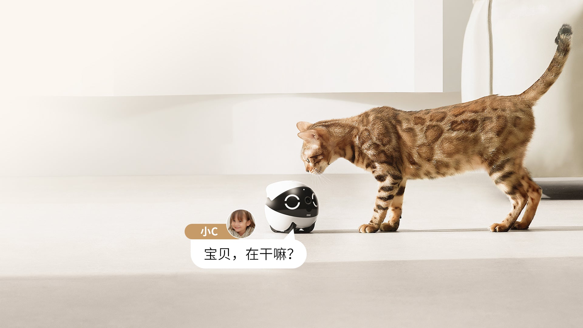 EBO Air 2  companion robot: Automatic Recharging